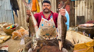 5K views · 130 reactions | kasimedu selvam amazing cobia fish cuttingincredible speed fish cutterbig fish cuts | Big Fish Cuts | Facebook