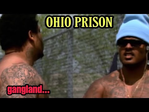 OHIO PRISON GANGS
