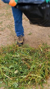 Einfache Garten-Hacks, die wirklich funktionieren🌿 | 5-Minuten Tricks