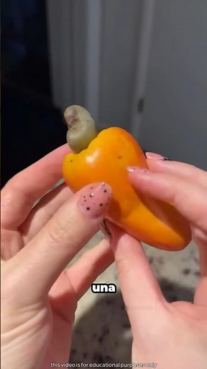 The stages of cashew processing so it's ready to eat 😮 #shorts