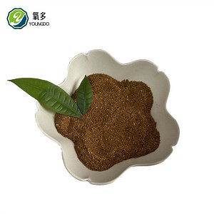[Hot Item] Manufacturing Best Quality Animal Feed Add Ddgs (Corn) Feed Grade for Poultry Growth