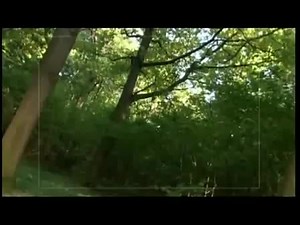 Даешь молодежь! Пить по-русски!