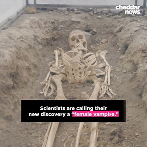 These scientists may want to keep some garlic around. #vampire #spooky #skeleton | cheddar news