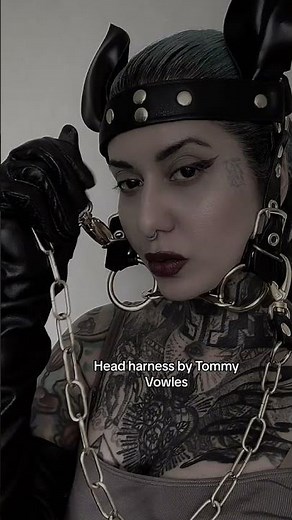 Leather Head Harness