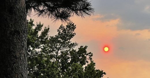 Colorado wildfires 2021: the latest information