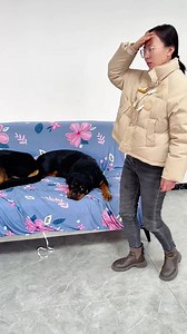 2.5M views · 10K reactions | Even Yi Tuo are afraid of this kind of scammers!  #dog #dogfunny #dogstagram | Xiang Wei and Yi Tuo Dog | Facebook