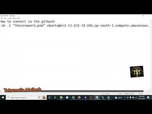 How to connect the aws ec2 instance with the Git Bash using SSH client