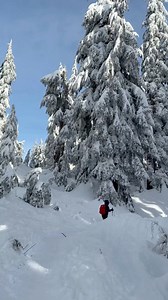 #snowshoeing #mtseymour #winter2024 #winterhiking #beautifulbritishcolumbia #beautifulbc #fbreelsfypviral | Givey Soquite