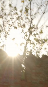 Tank Magazine on Reels | Facebook