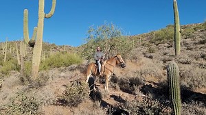 Christopher Miller continues.... | MTM Ranch Horseback Adventures | Facebook