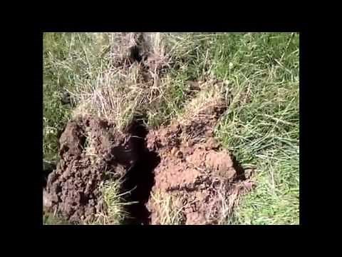 Keyline Ploughing Project