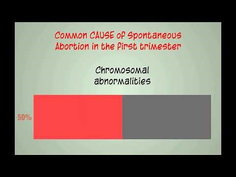 Topic 16: Spontaneous Abortion