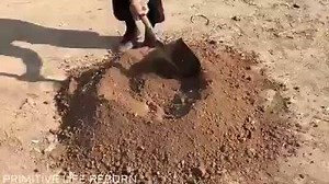 27 reactions |  Credit Primitive Life Reborn | Munho | Facebook