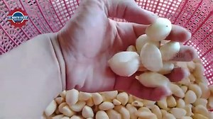 CV. Industri Kreatif on Reels | Facebook