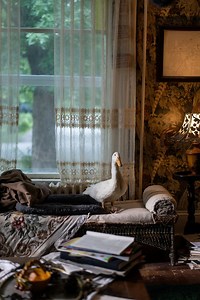 Městečko Three Pines - Popravčí, část 2. (E08) (2022) | ČSFD.cz