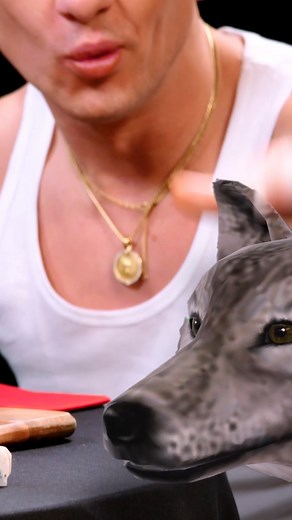 6.8K views · 68 reactions | Note to self: Always keep a wolf prop in pocket ✍️ | First We Feast | Facebook