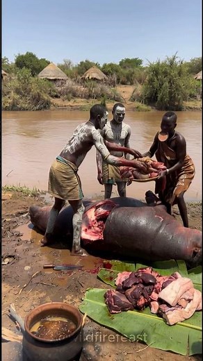 Tribal Feast: Surma Body Painters Butchering Giant Hippo 🎨🦛 #shortsviral