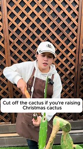 Grafting Cactus and Cymbidium Orchids #gardeningcommunity #gardenloversclub #gardenaddict #gardeners #gardenerslife | Gardening Loverr