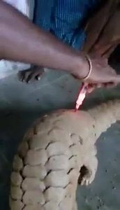 31K views · 81 reactions | aaa ki chiz aa oye 樂樂 | Punjabi Troll | Facebook