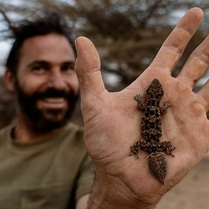 1.6K views · 73 reactions | Tonight Hazen Audel from National Geographic Africa gets his first taste of South African adventure 朗 make sure that your tuned in at 6pm on SABC 3! #PrimalSurvivorAfrica #HazenAudel #NatGeoAfrica | The Insider SA | Facebook