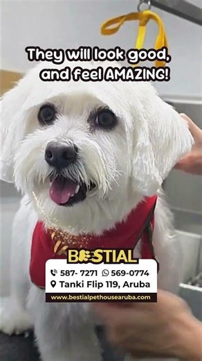 If their fur could talk, it would say “Thank You Bestial!” 🤭🐾💖