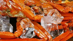 How long can I keep crab legs in the refrigerator before cooking? [2025] | QAQooking.wiki