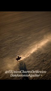 3.2K views · 8.1K reactions | #DonAntonioAguilar | El Único Charro De México : Don Antonio Aguilar "" | Facebook