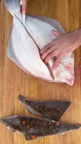 Filleting tasty flounder! #fishing #spearfishing
