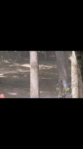 HIGH OCTANE FILMS on Reels