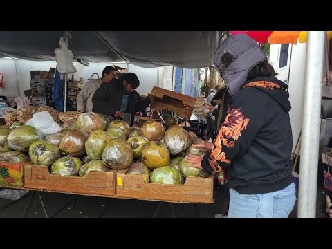 Orange Coast College Swap meet