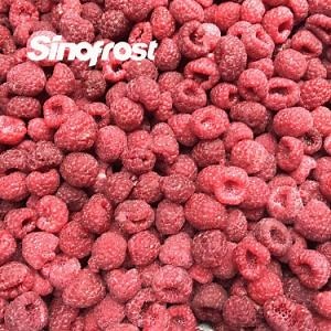 [Hot Item] Trusted Frozen Berries Manufacturer: Supplier of Premium IQF Frozen Raspberries, IQF Frozen Raspberry,Red, Cultivated,Wholes/Brokens/Crumbles/Pure,Red Raspberry