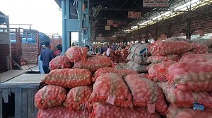 13K views · 366 reactions | 21 September 2024 दिल्ली आलू के होलसेल भाव Delhi Mandi potato 凜 market price delhi fruit market #potato | Delhi Fruit Market | Facebook