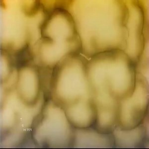 We still love watching this cartoon 😍 | Dress Comics