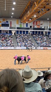 Yes they did! Put them in 3rd in the wild cow milking!! 🙌 | Dawn Hubbard