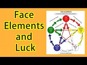 Basic Knowledge of Face Reading, Face Elements and Age Luck on Face (Free Face Reading Course)