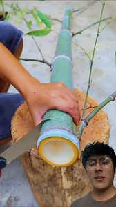 111K views · 525 reactions | INCREÍBLE DISEÑO DE LAS TASAS ARTESANALES CON BAMBÚ#fypシ #foryoupage #artesanal #bambu #carpinteria #tasas #virals #viralreels | Fútbol Jr TV | Facebook