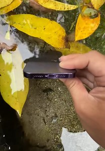 Putting an iPhone into a pond! | Handy Dandy