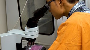 An Improved and High Throughput Respiratory Syncytial Virus (RSV) Micro-neutralization Assay