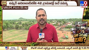 Story Gate : పులుల పేరుతో ఊరిని ఖాళీ చేయిస్తారా? | Komaram Bheem Asifabad district - TV9 #StoryGate #tigers #KomaramBheemAsifabad #TV9Telugu | TV9 Telugu