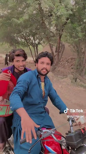 Beautiful Pigeon in Flight: Captured Moments