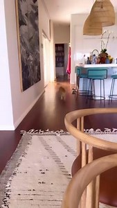 2.2K views · 18 reactions | These feline friends are ready for Naturally Tasty Adventure with Applaws  @katewalsh | Applaws Pet Food | Facebook