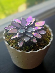 Iridized Stained Glass Succulent - Etsy