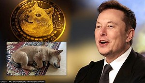 Criptomonedas: Floki Inu se dispara tras el último tuit de Elon Musk