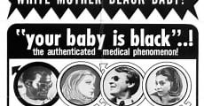 Born Black (1969)  - Ver Película Completa en Español / Castellano - FULLTV
