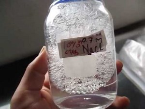 How to prepare CTAB reagent for DNA extraction