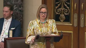 Former Sen. Sinema admits to affair with former bodyguard