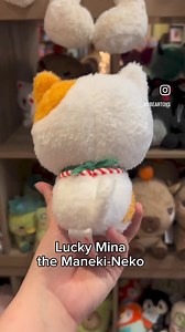 Which plushie best fits your personality!? Comment below! 笠✨ | Dancing Bear Toys and Games | Facebook