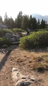 105K views · 51 shares | ... | Alexandra Daddario | Facebook