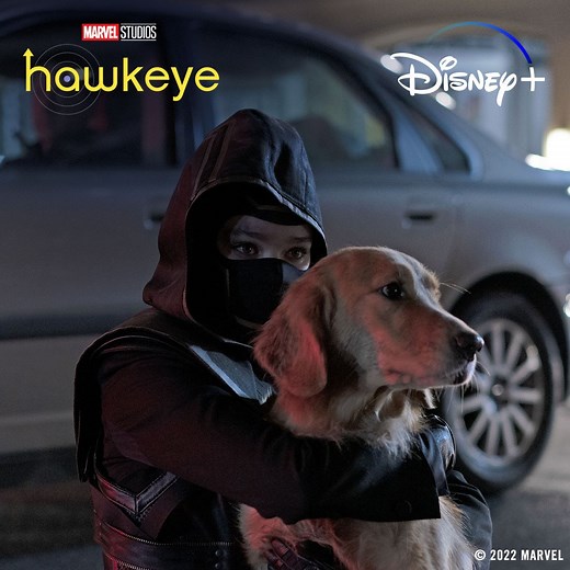 Meet Jolt, who plays Lucky the Pizza Dog in Marvel Studios' Hawkeye! 🍕 | Marvel