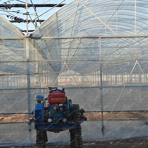 [Hot Item] Large Size Multi-Span Agricultural Vegetable Growing Film Greenhouse